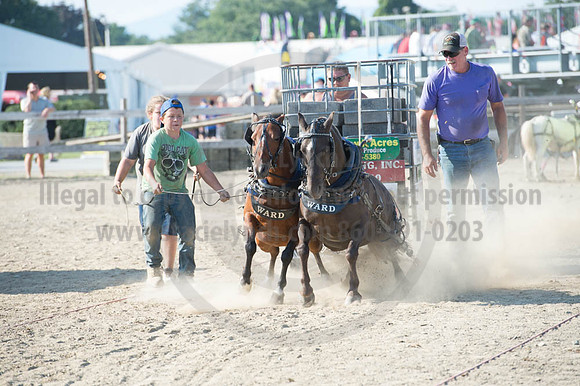 2016DCF_08272016_SCL_1463