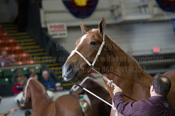 NABC8_10132016_SCL_5212