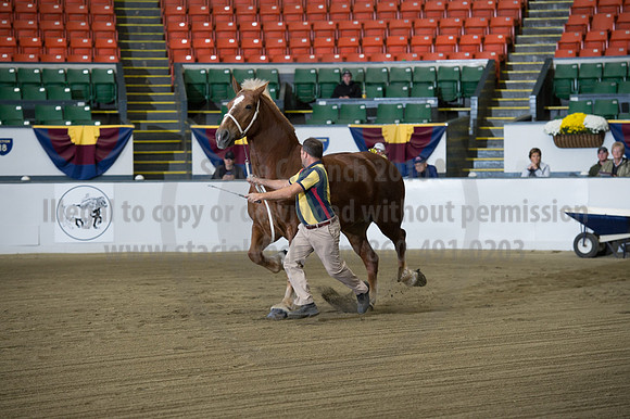 NABC8_10132016_SCL_5090