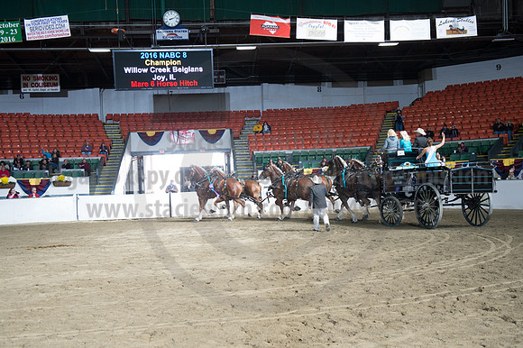 NABC8_10142016_SCL_8829