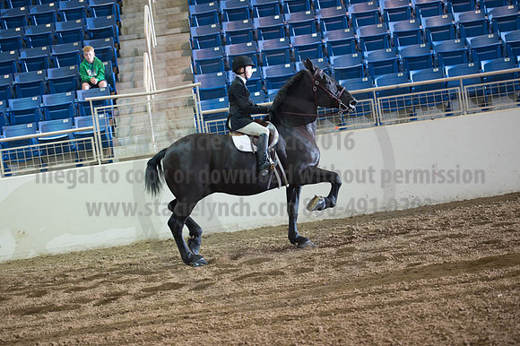 2016 _KILE_10082016_SCL9410
