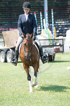 2016DCF_08242016_SCL_8961