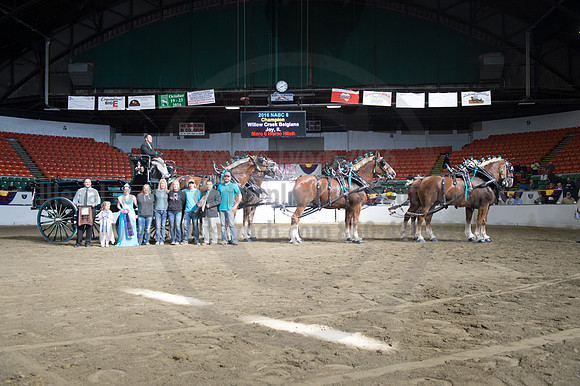 NABC8_10142016_SCL_8795