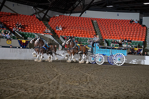 BigE_09272024_SCL1291