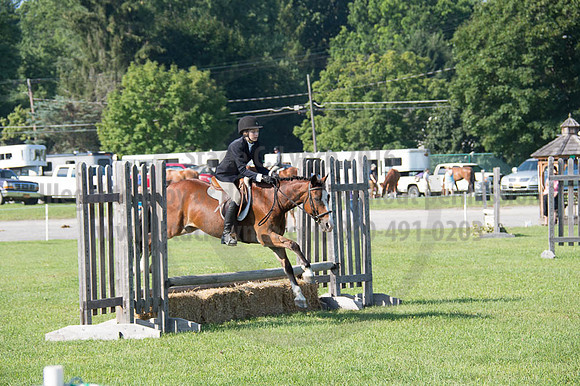 2016DCF_08262016_SCL_0211