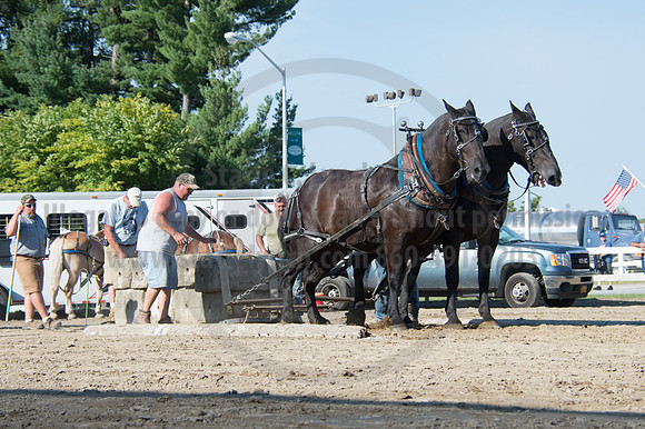 2016DCF_08242016_SCL_9470