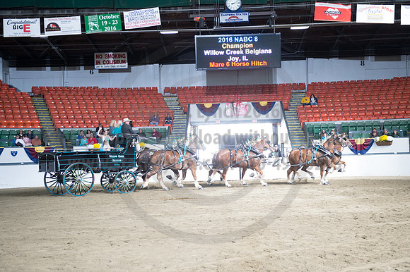 NABC8_10142016_SCL_8840