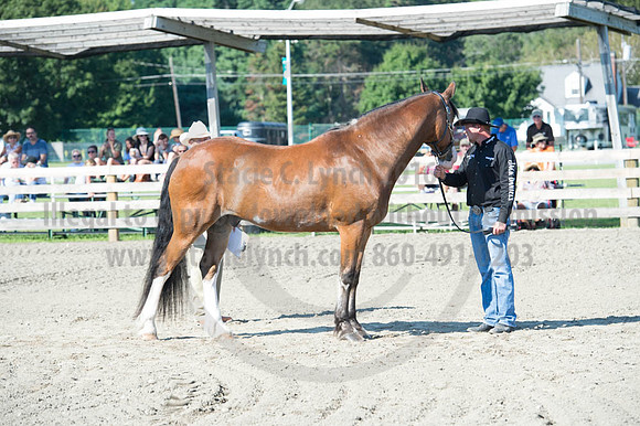 2016DCF_08272016_SCL_1037