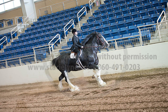 2016 _KILE_10082016_SCL9344