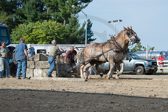 2016DCF_08242016_SCL_9530