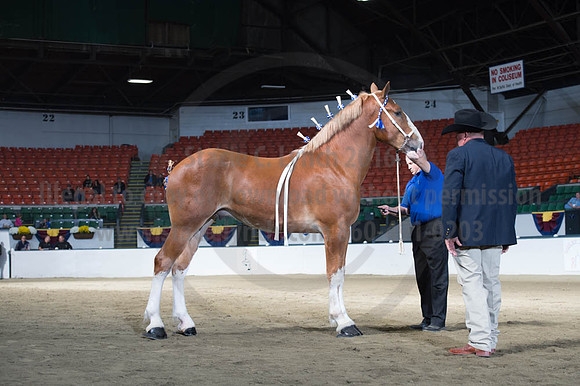 NABC8_10122016_SCL_2876