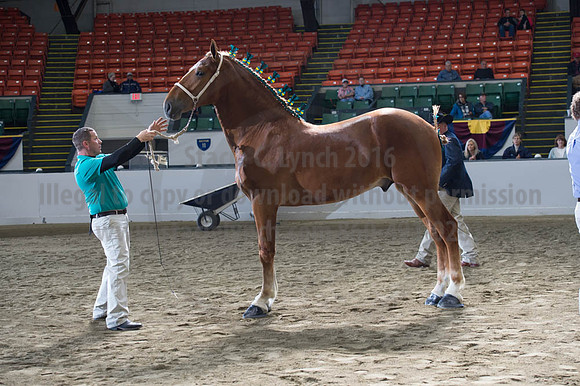 NABC8_10122016_SCL_2940
