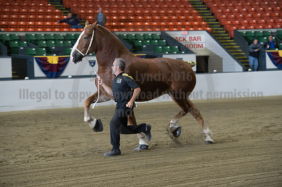 NABC8_10132016_SCL_5123