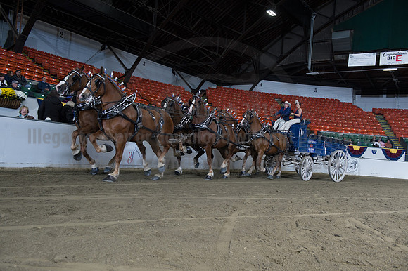 NABC8_10142016_SCL_8677