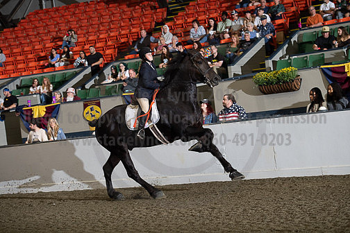 BigE_09272024_SCL1201