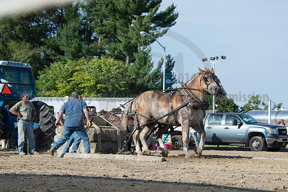 2016DCF_08242016_SCL_9528