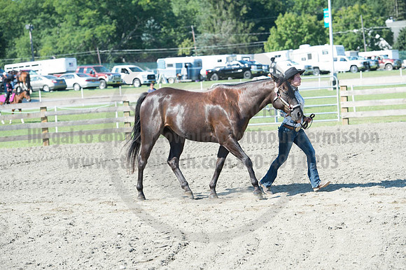 2016DCF_08272016_SCL_1060