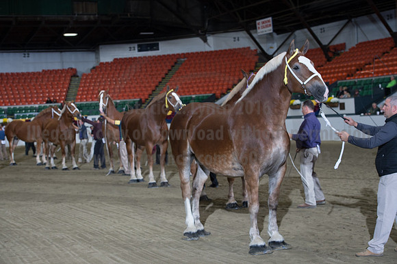 NABC8_10132016_SCL_5310