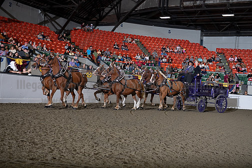 BigE_09282024_SCL1443