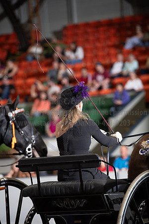 BigE_09282024_SCL1550