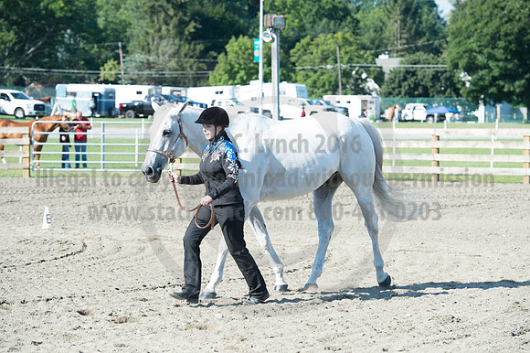 2016DCF_08272016_SCL_1006