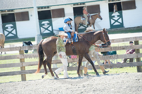 2016DCF_08272016_SCL_1182