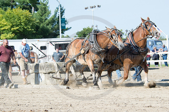 2016DCF_08242016_SCL_9439