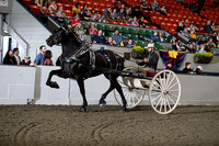 BigE_09282024_SCL1500