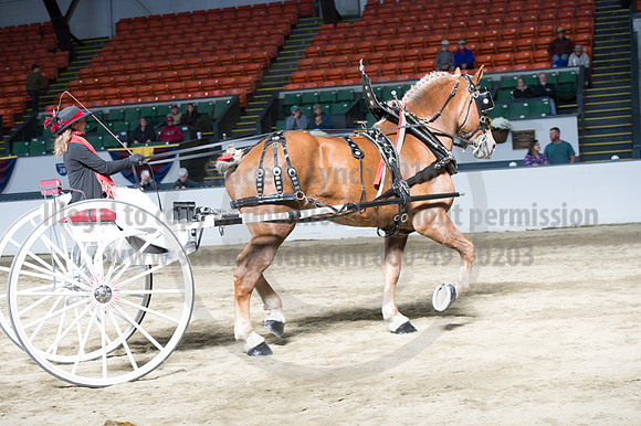 NABC8_10142016_SCL_8415