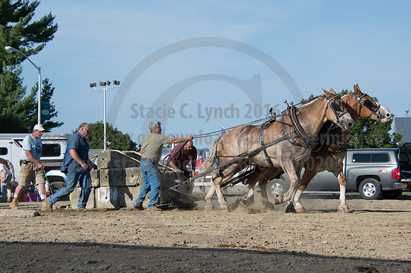 2016DCF_08242016_SCL_9538