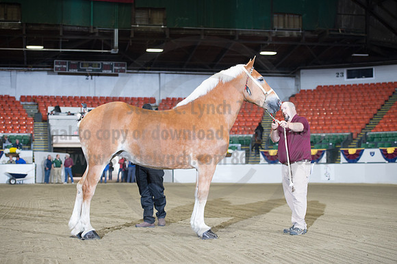 NABC8_10132016_SCL_5054