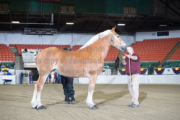 NABC8_10132016_SCL_5053