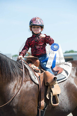 2016DCF_08272016_SCL_1221