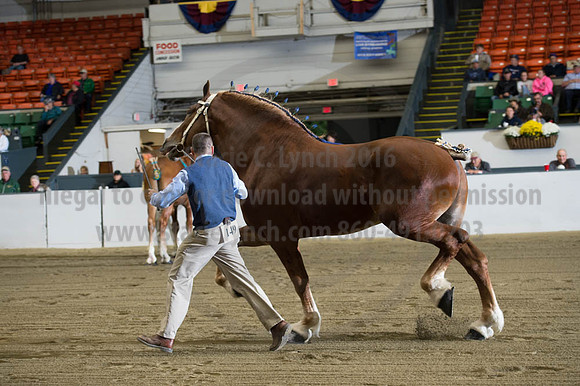 NABC8_10122016_SCL_4103