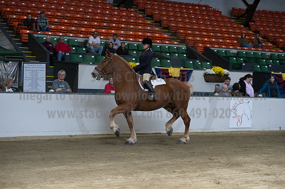 NABC8_10152016_SCL_0615
