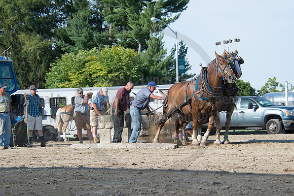 2016DCF_08242016_SCL_9510