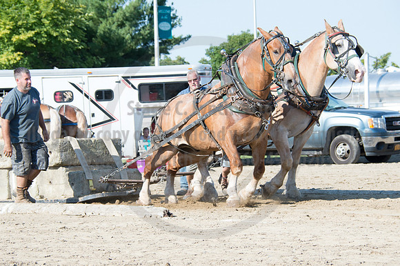 2016DCF_08242016_SCL_9433