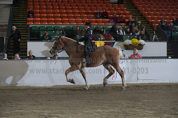 NABC8_10152016_SCL_0611