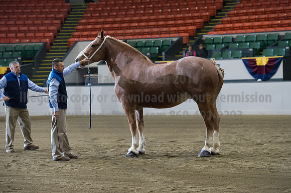 NABC8_10132016_SCL_5110
