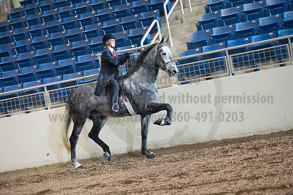 2016 _KILE_10082016_SCL9337