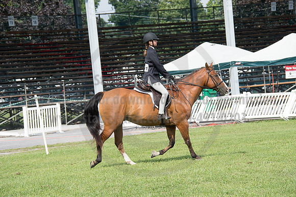 2016DCF_08252016_SCL_9728