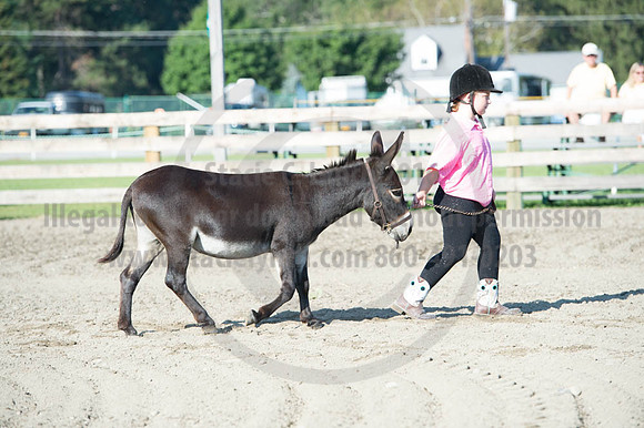 2016DCF_08272016_SCL_0903