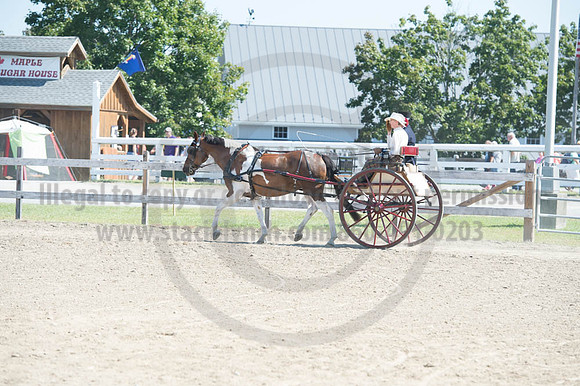 2016DCF_08272016_SCL_1156