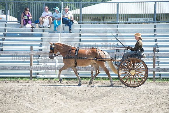 2016DCF_08272016_SCL_1157