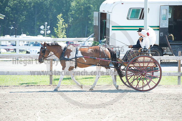 2016DCF_08272016_SCL_1142