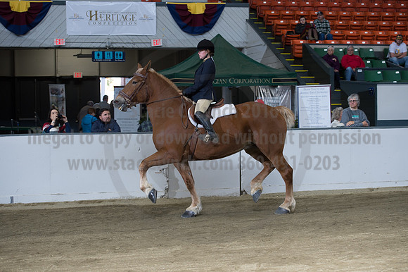 NABC8_10152016_SCL_0616