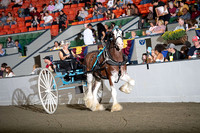 BigE_09282024_SCL1894