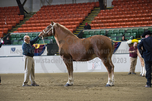 NABC8_10132016_SCL_5045