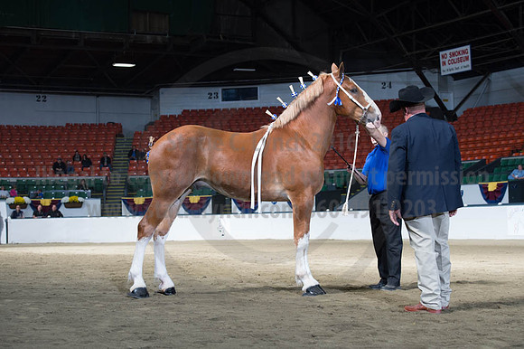NABC8_10122016_SCL_2878