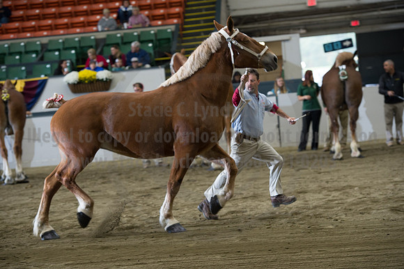 NABC8_10132016_SCL_5142